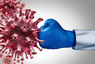 Immune System